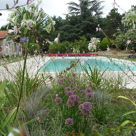 Villa Entiere Du Chateau Lacroix De Civrac 3 Ch, 3 Sdb, Piscine Xxl,Sauna, 4 Etoiles,7 Pers Eksteriør bilde